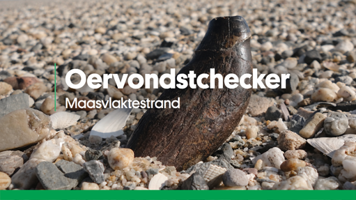 Oervondstchecker preview